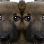 webcam-toy-foto1
